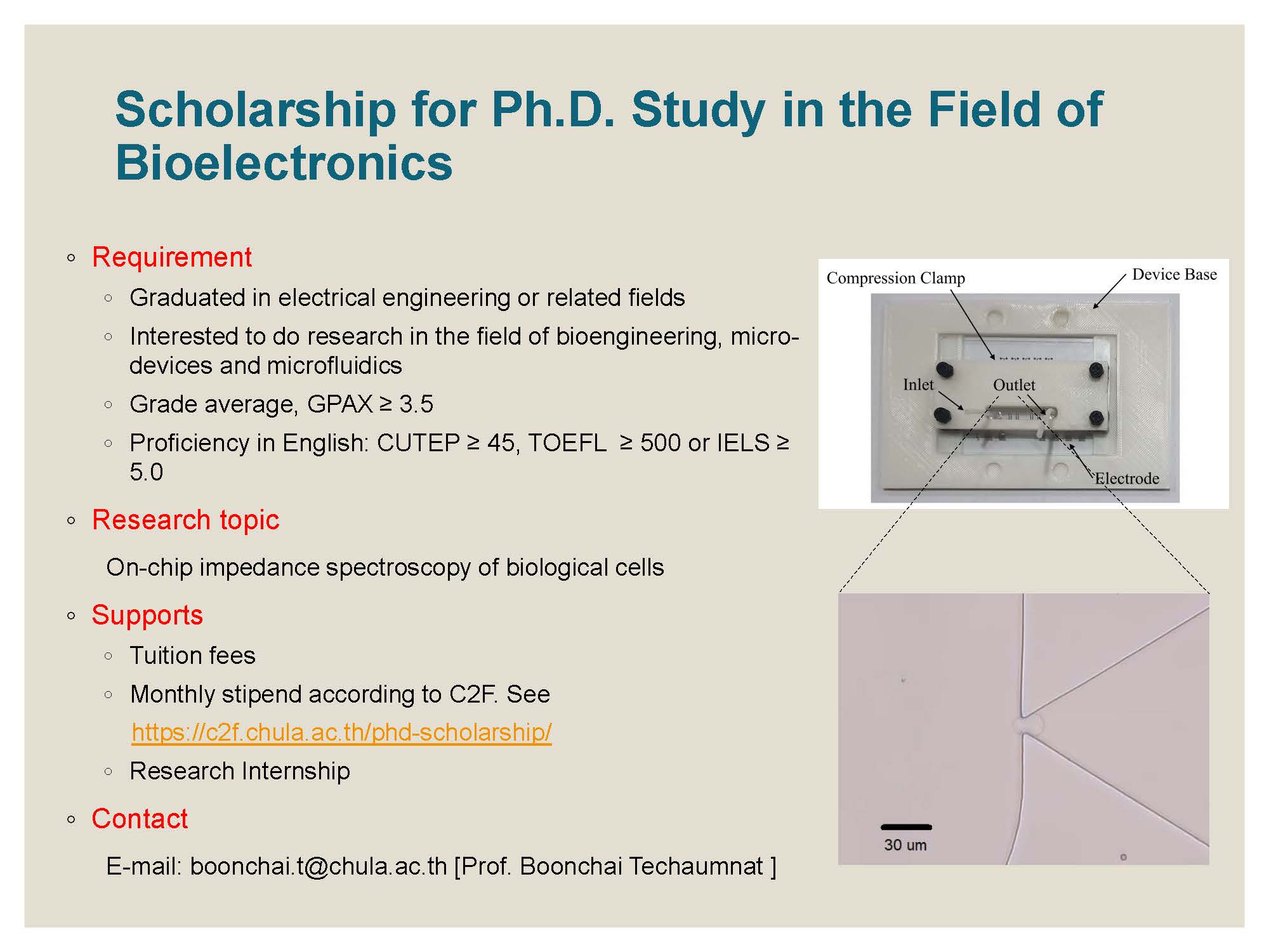 ทุนสำหรับผู้สนใจศึกษาต่อในระดับปริญญาโท-เอก ในกลุ่มวิจัย Bioelectronics